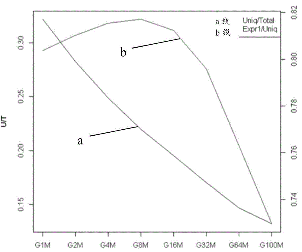 Virus identification method and device