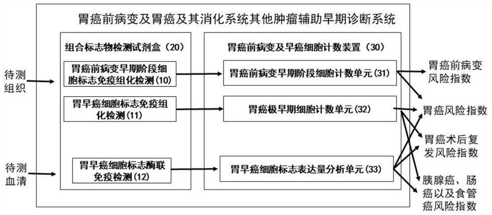 Gastric cancer extremely-early cell marker, gastric cancer precancerous lesion early cell marker and application of markers in diagnostic kits