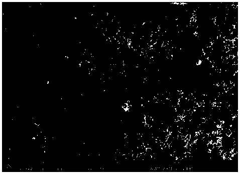 A kind of preparation method of copper-zinc-tin-sulfur film