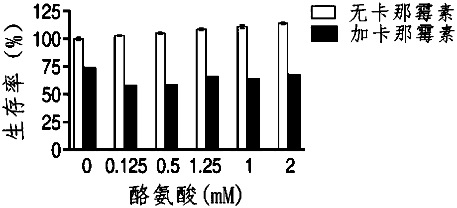 Application of L-arginine in improvement of antibiotics sensitivity of bacteria