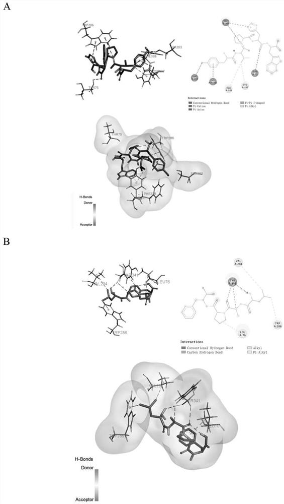 A kind of walnut meal acetylcholinesterase inhibitory peptide and its preparation method and application