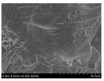 Inorganic high-temperature fused salt corrosion resistant graphene paint and preparation method thereof