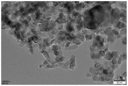 Au-GSH@TiO2@PDMS composite material, and preparation method and application of Au-GSH@TiO2@PDMS composite material