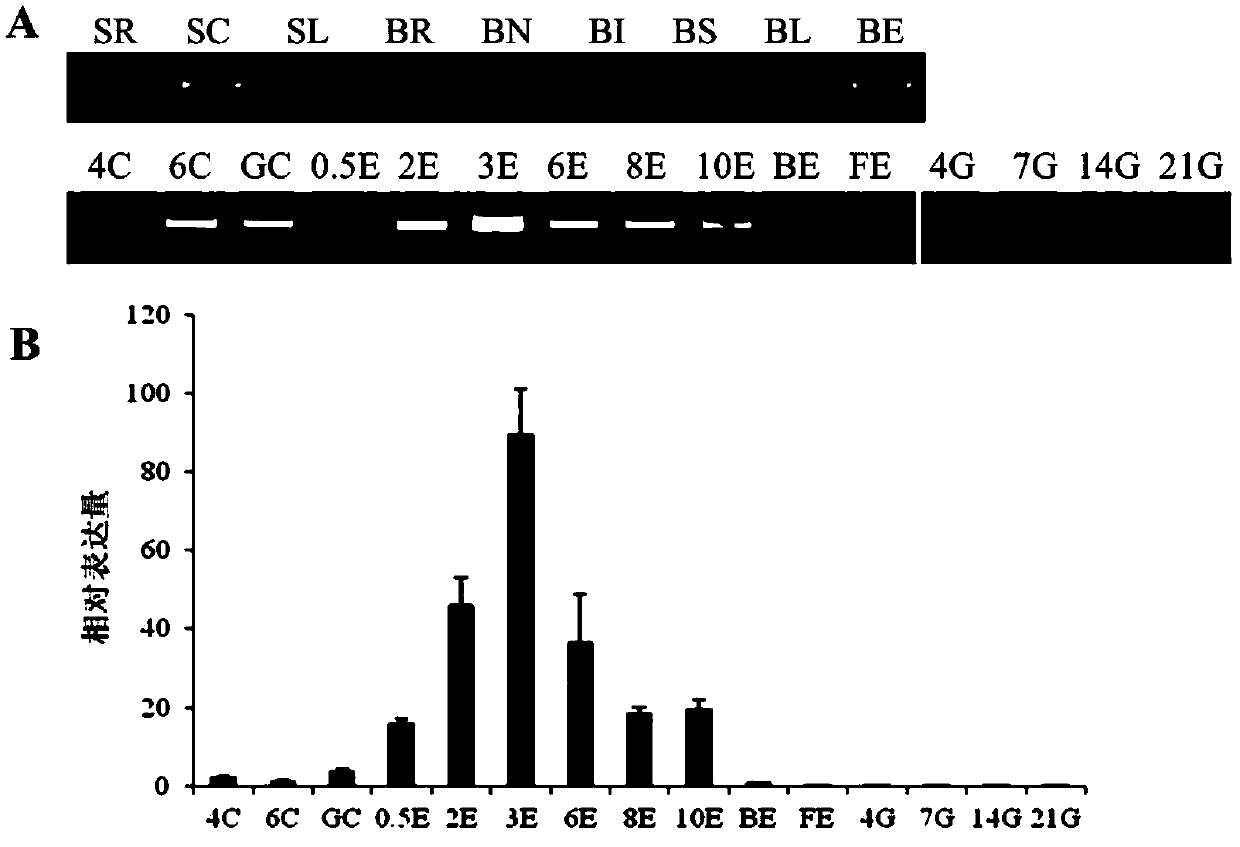 Application of proteins and their related biomaterials in improving plant yield