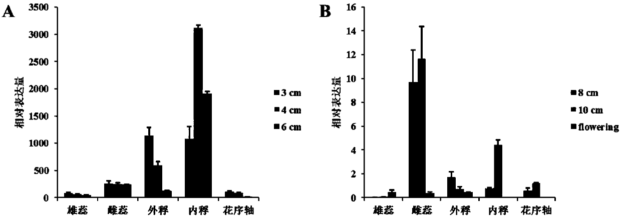 Application of proteins and their related biomaterials in improving plant yield