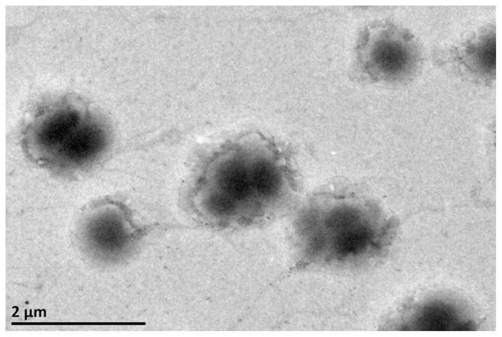 A binary fluoropolymer wetting reversal agent and its preparation method and application