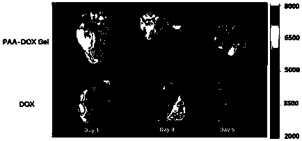 In situ drug delivery system constructed by pachymic acid A and preparation method and application of in situ drug delivery system