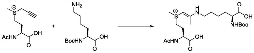 Stable polypeptide protein targeted inhibitor and application thereof