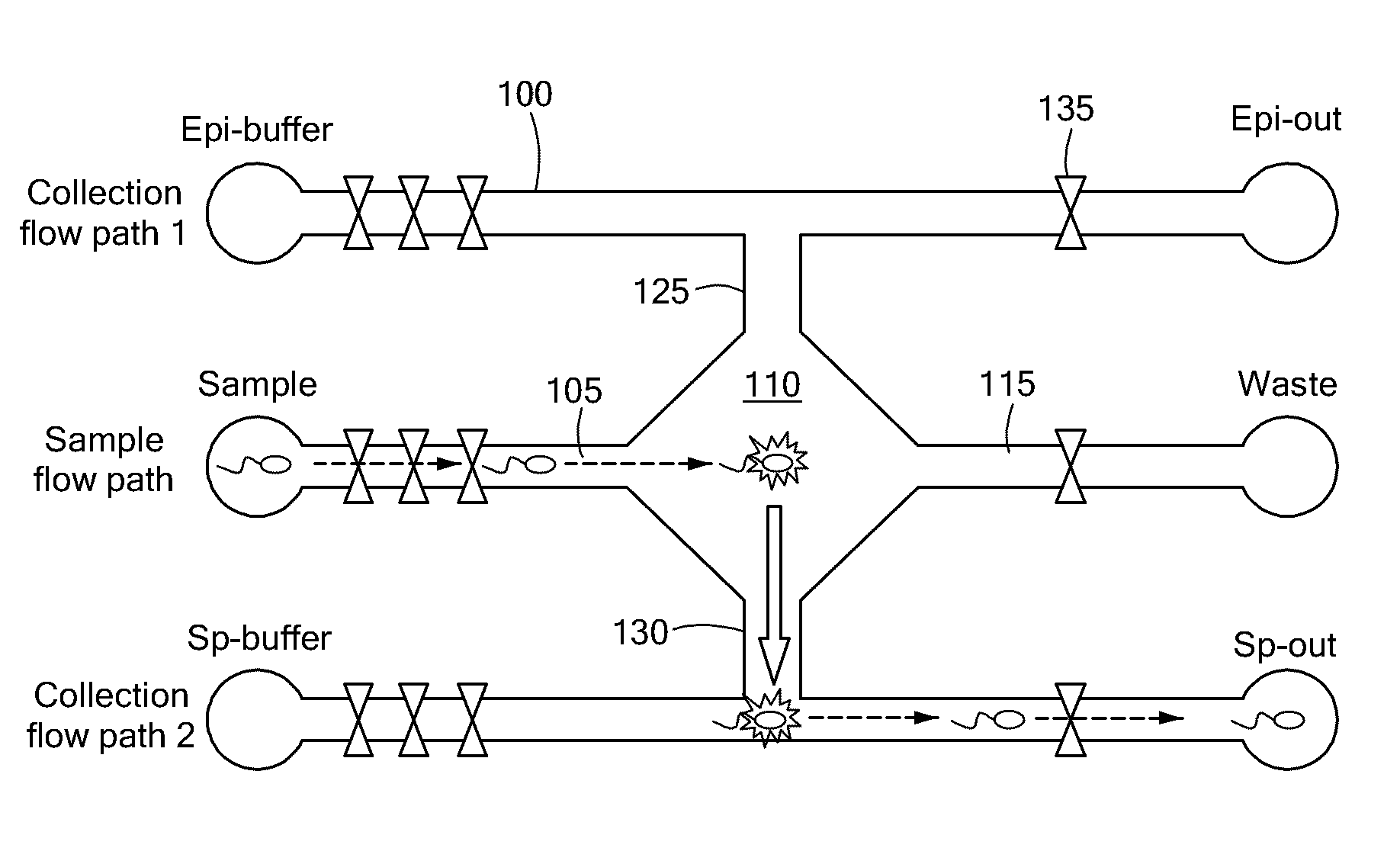 Particle Sorting Using Fluid Streams