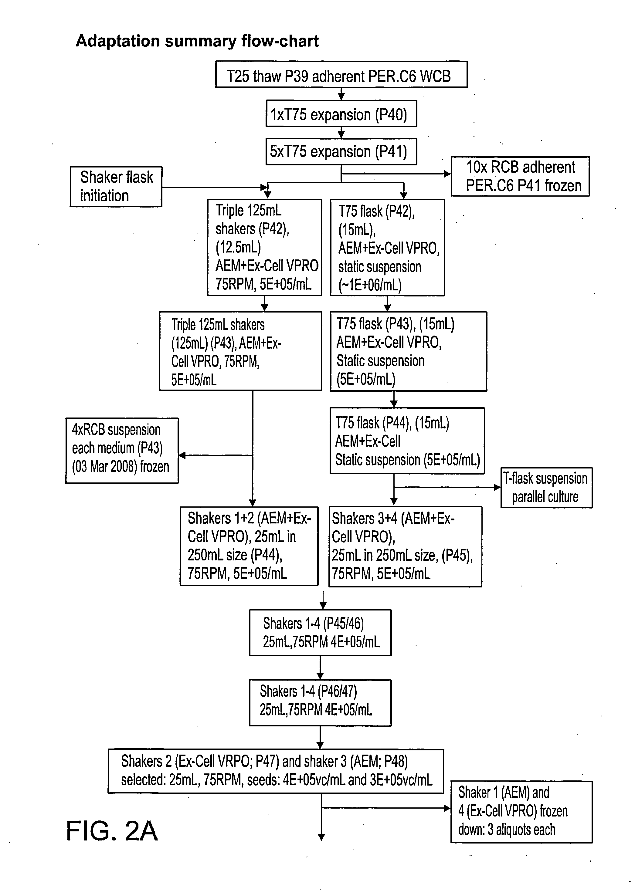 Methods of Producing Adenovirus Vectors and Viral Preparations Generated Thereby