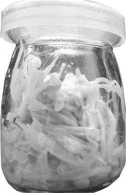 Bioprocessing method for fermentation of edible mushroom probiotics and edible mushroom probiotic fast food