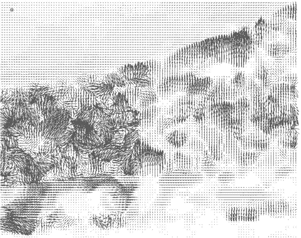 Smoke field measurement device and method based on PIV system