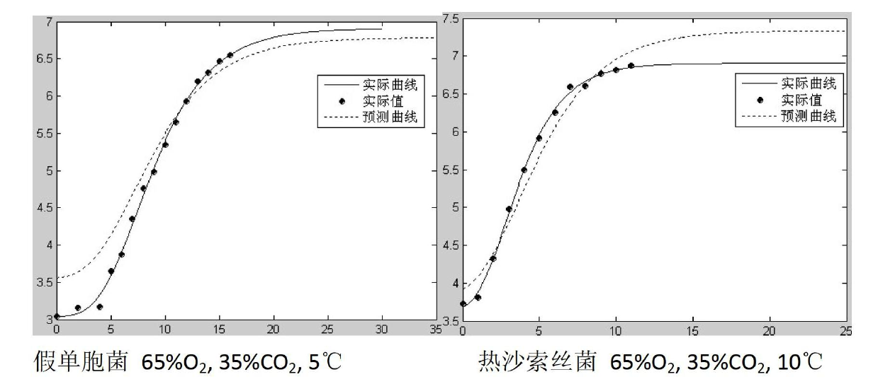 Prediction method for growth of putrefying bacteria in modified atmosphere packaged fresh chilled beef