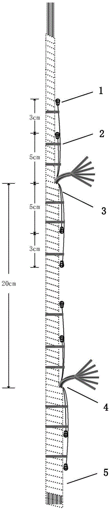 Reserved protection method after dismantling formed cable wires of measuring chamber