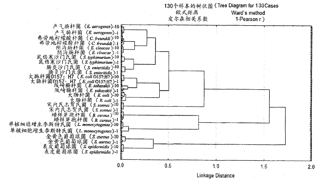 Classification and identification upon 13 pathogenic bacteria by using Fourier transform infrared spectroscopic technology