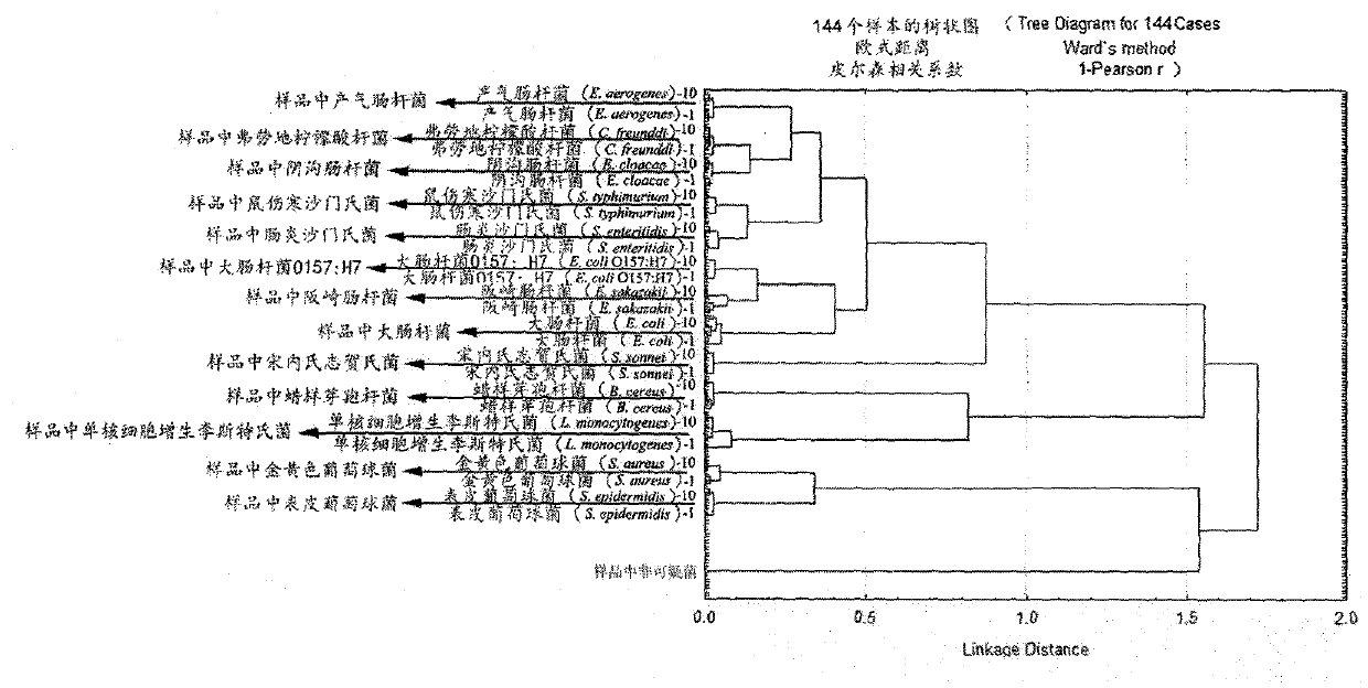 Classification and identification upon 13 pathogenic bacteria by using Fourier transform infrared spectroscopic technology