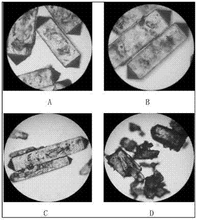 Method for crystallizing large-grained industrial ammonium dihydrogen phosphate