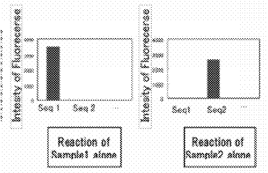 Method for detection or analysis of target sequence in genomic DNA