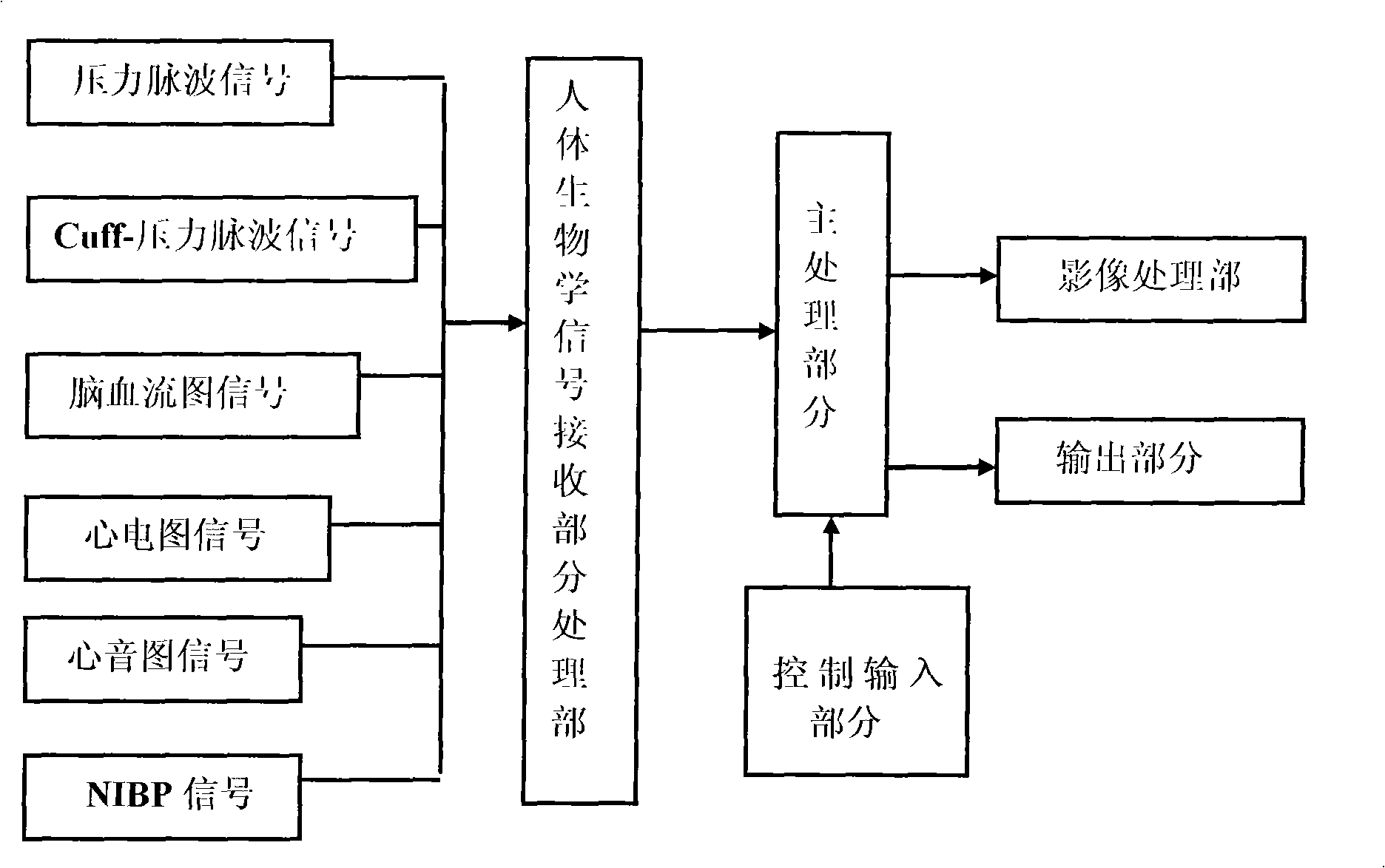 Analytical system and analytical method for property of blood vessel of brain and blood flow behavior