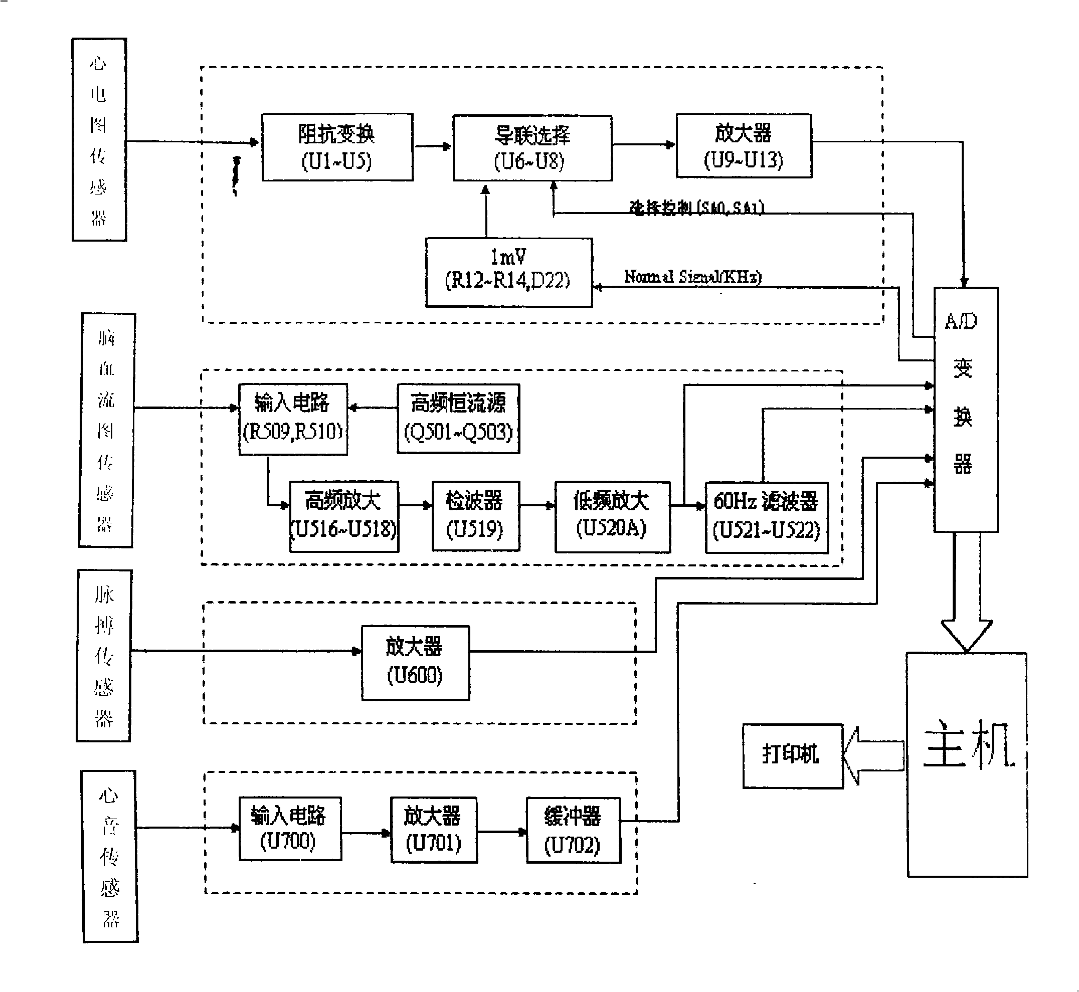 Analytical system and analytical method for property of blood vessel of brain and blood flow behavior