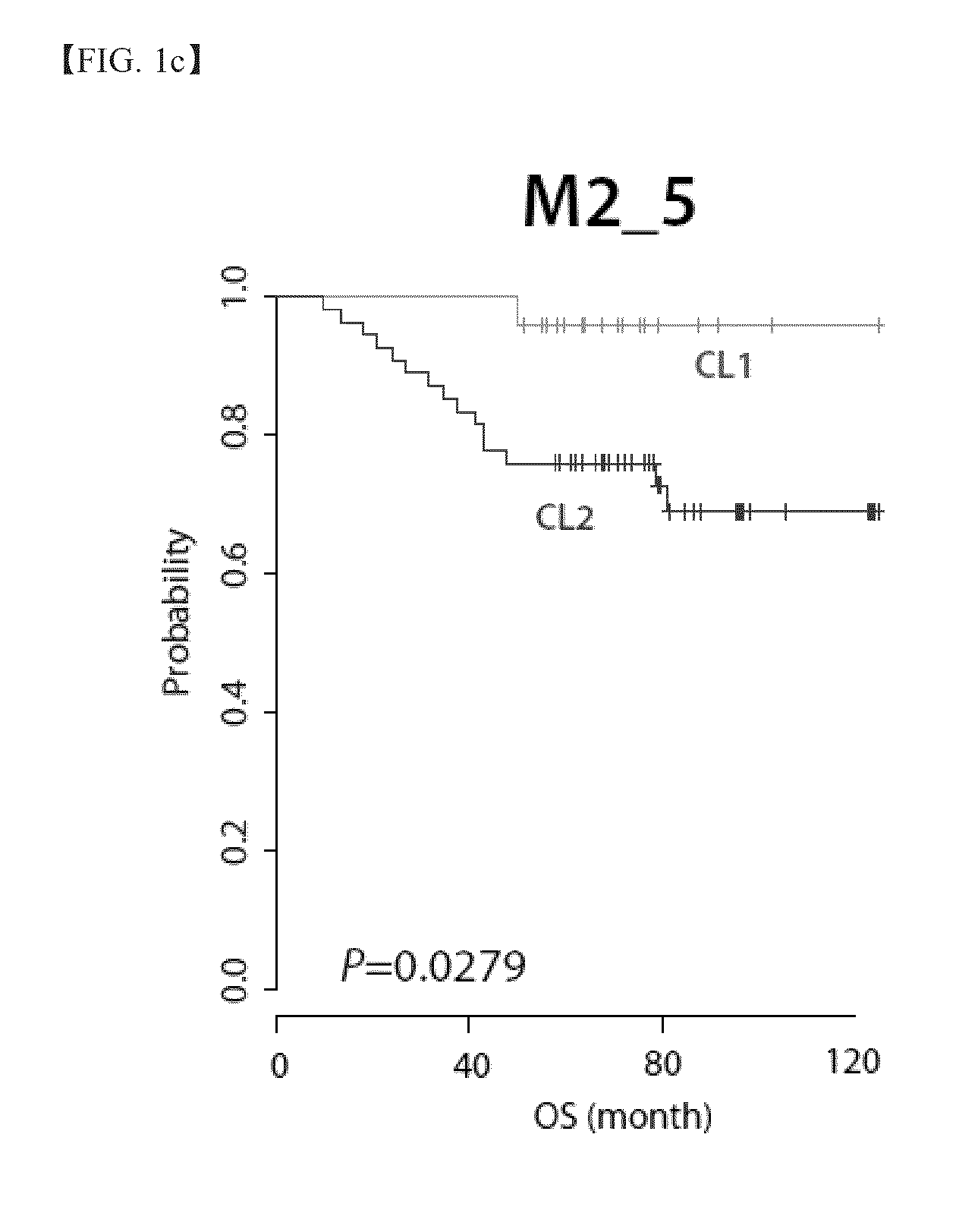 System for predicting prognosis of locally advanced gastric cancer