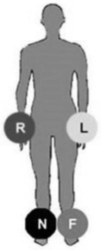 An automated and standardized electrocardiogram acquisition system and method