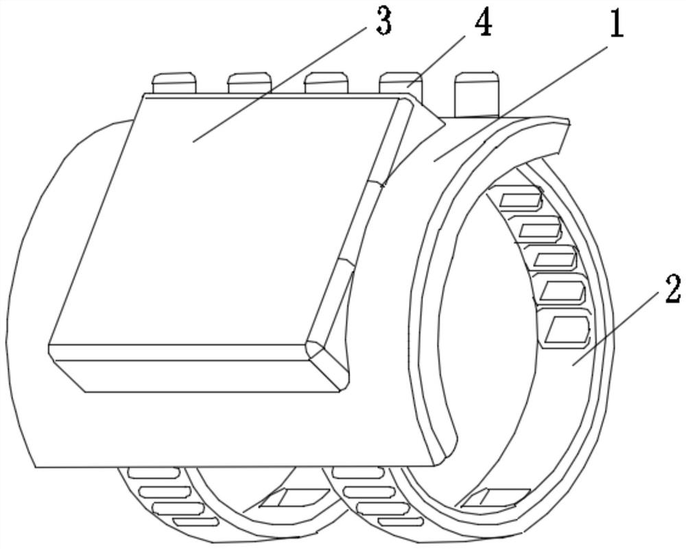 Intelligent holographic pulse condition collecting and diagnosing device