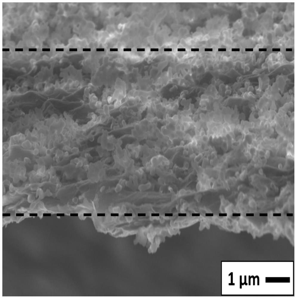 Two-dimensional layered composite film and preparation method and application thereof