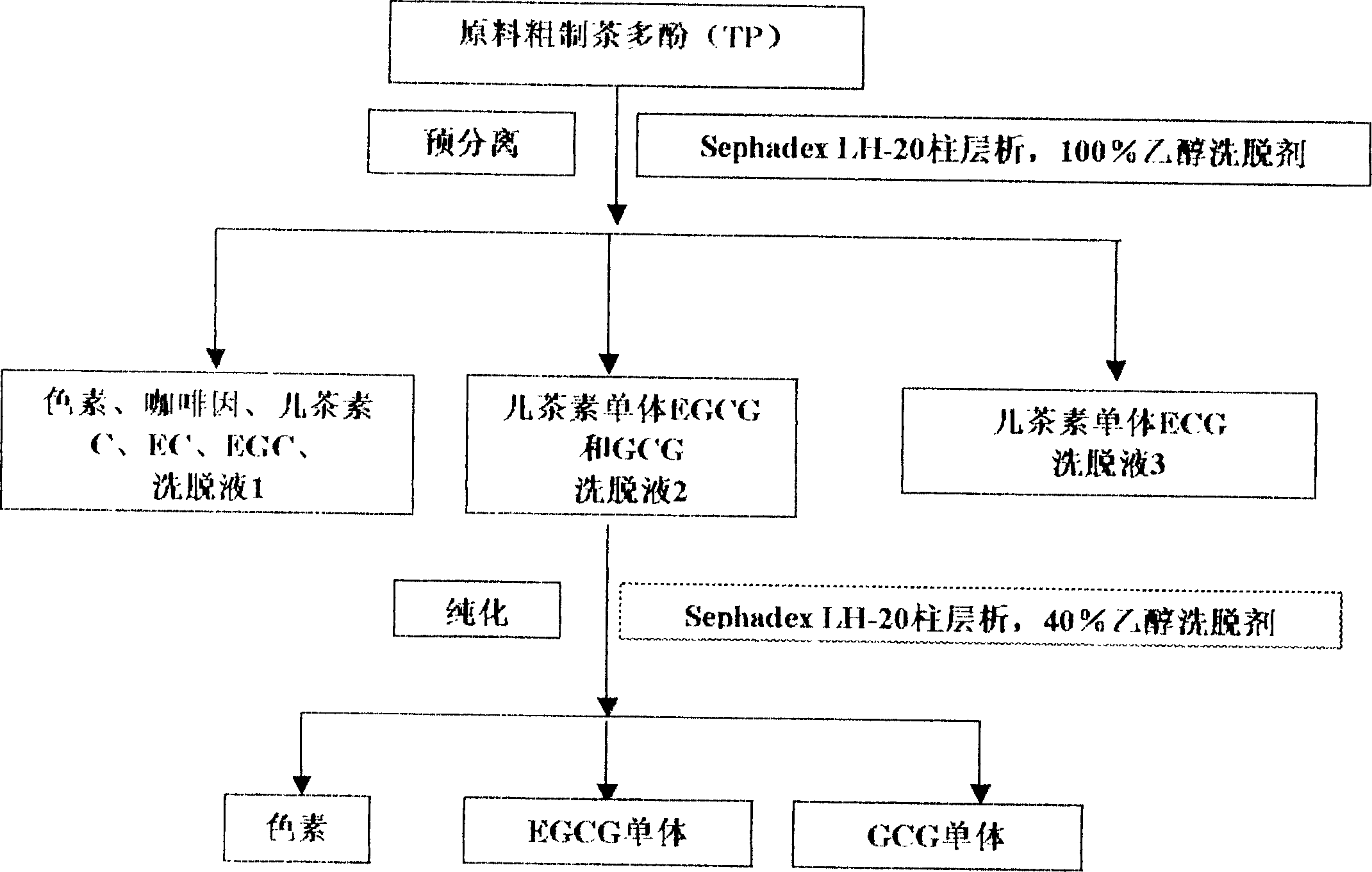 Separation purification method of catechin monomer