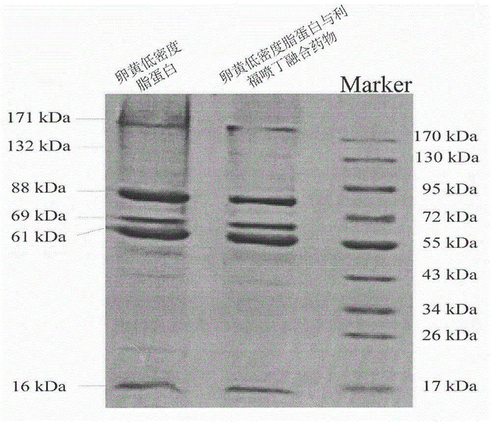 Extraction of yolk low density lipoprotein and fusion technology for yolk low density lipoprotein and Rifapentine