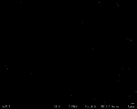 Preparation method of porous nano polymer composite material