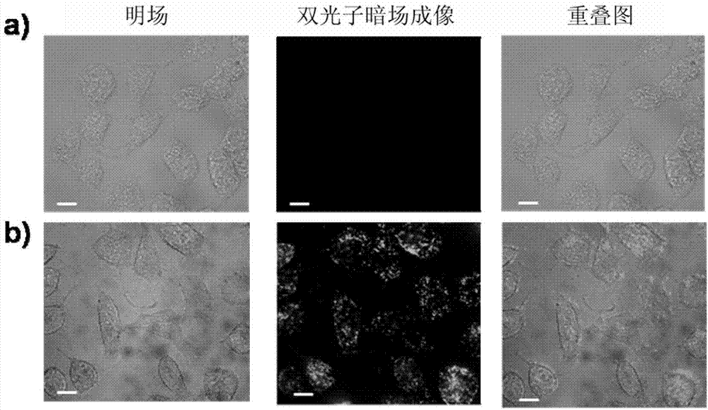 Preparation method of gold-graphene composite nano material