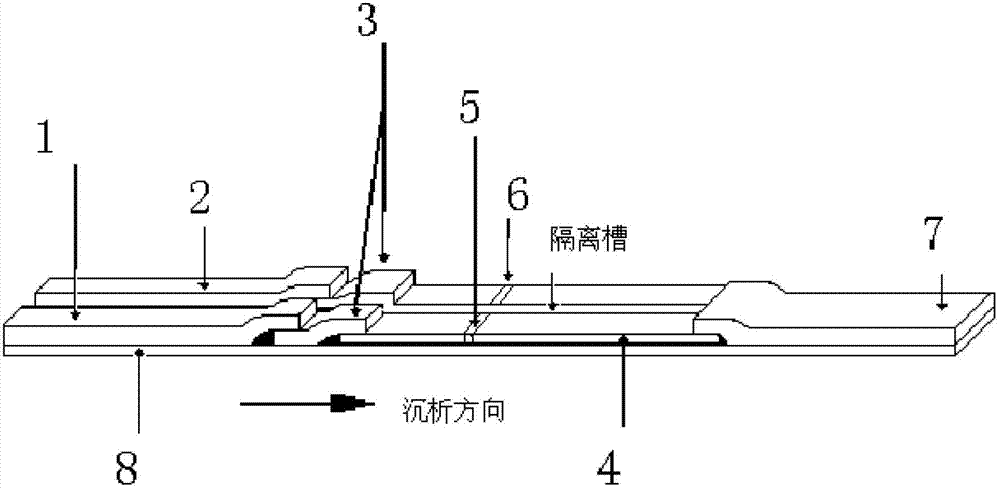 Atrazine molecular imprinting colloidal gold test strip and application