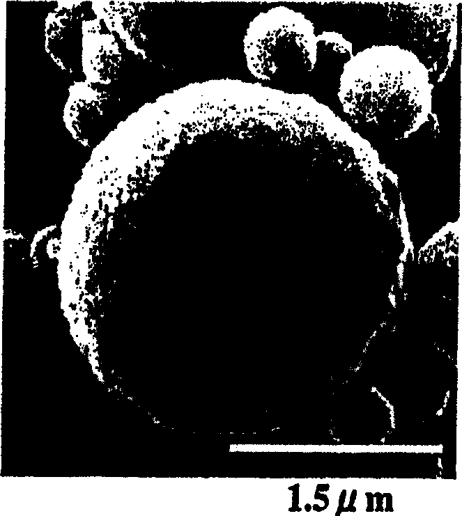 Composite polymer particle and method for preparing same