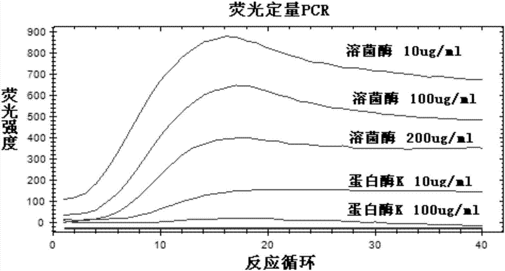 DNA/RNA virus PCR real-time enhanced reaction kit, detection reagent and use method of kit