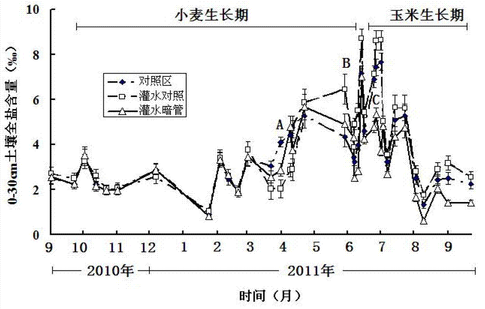 Wheat-corn double cropping symbiotic cultivation method in moderate saline-alkali soil based on buried pipe drainage and salt elimination