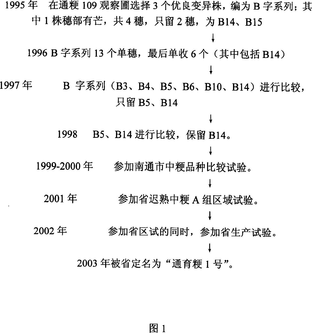 Method for breeding late moderate japonica rice