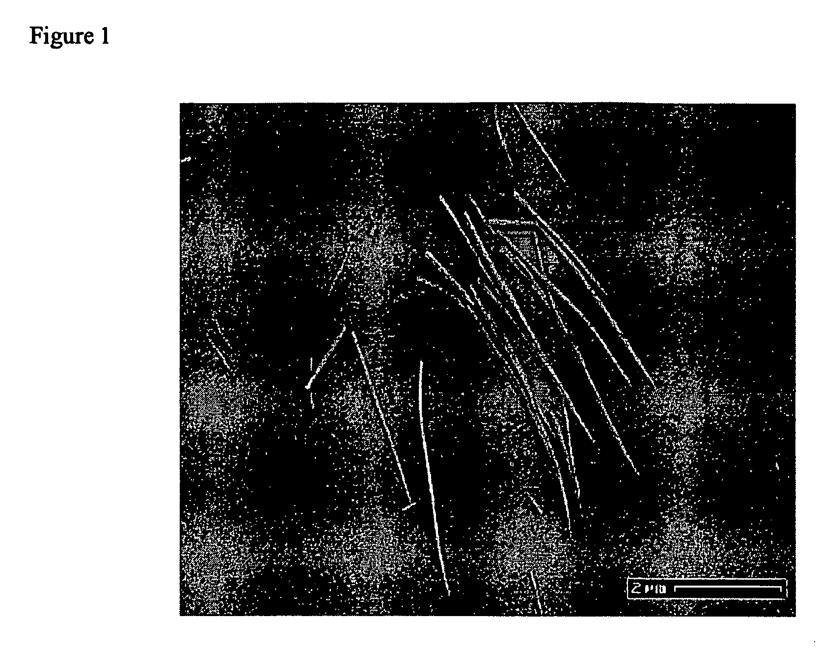 Transition metal oxide nanowires