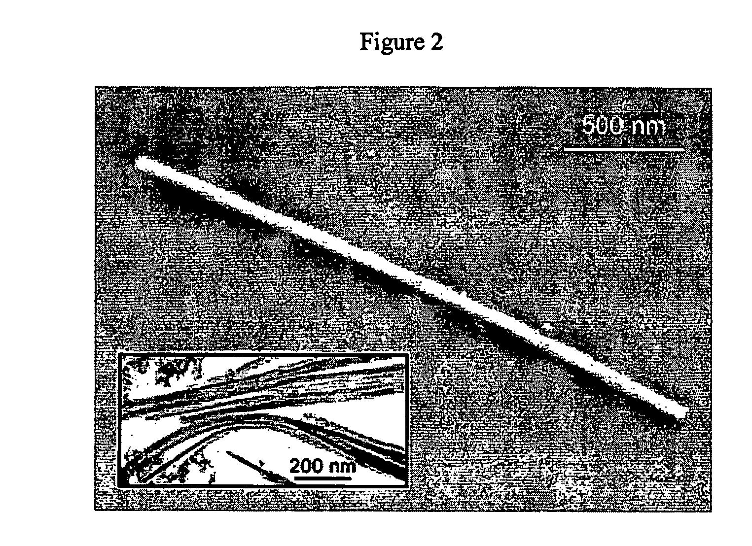 Transition metal oxide nanowires