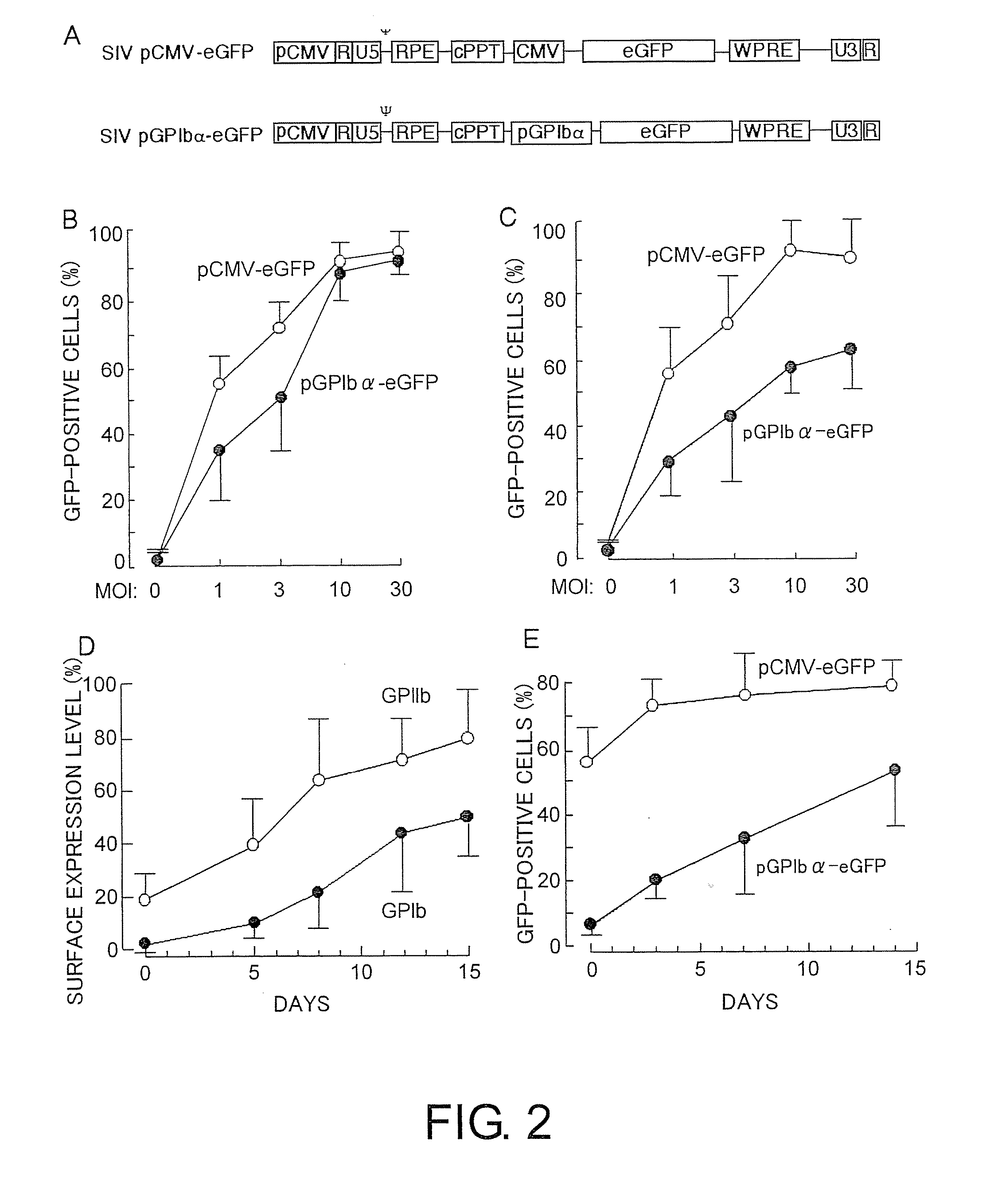 Therapeutic method for blood coagulation disorder