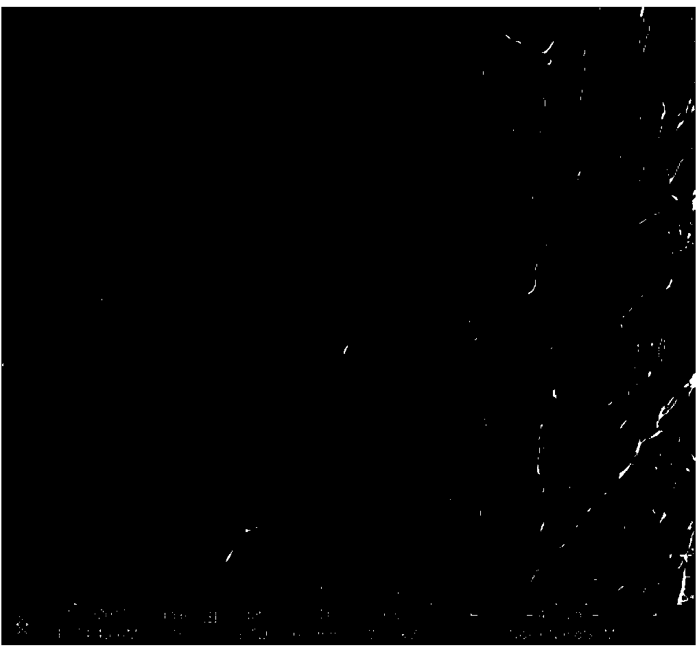 Medical chitosan compound moisturizing dressing and preparation method thereof