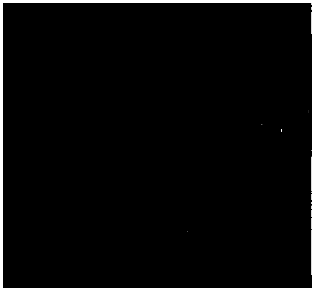 Medical chitosan compound moisturizing dressing and preparation method thereof