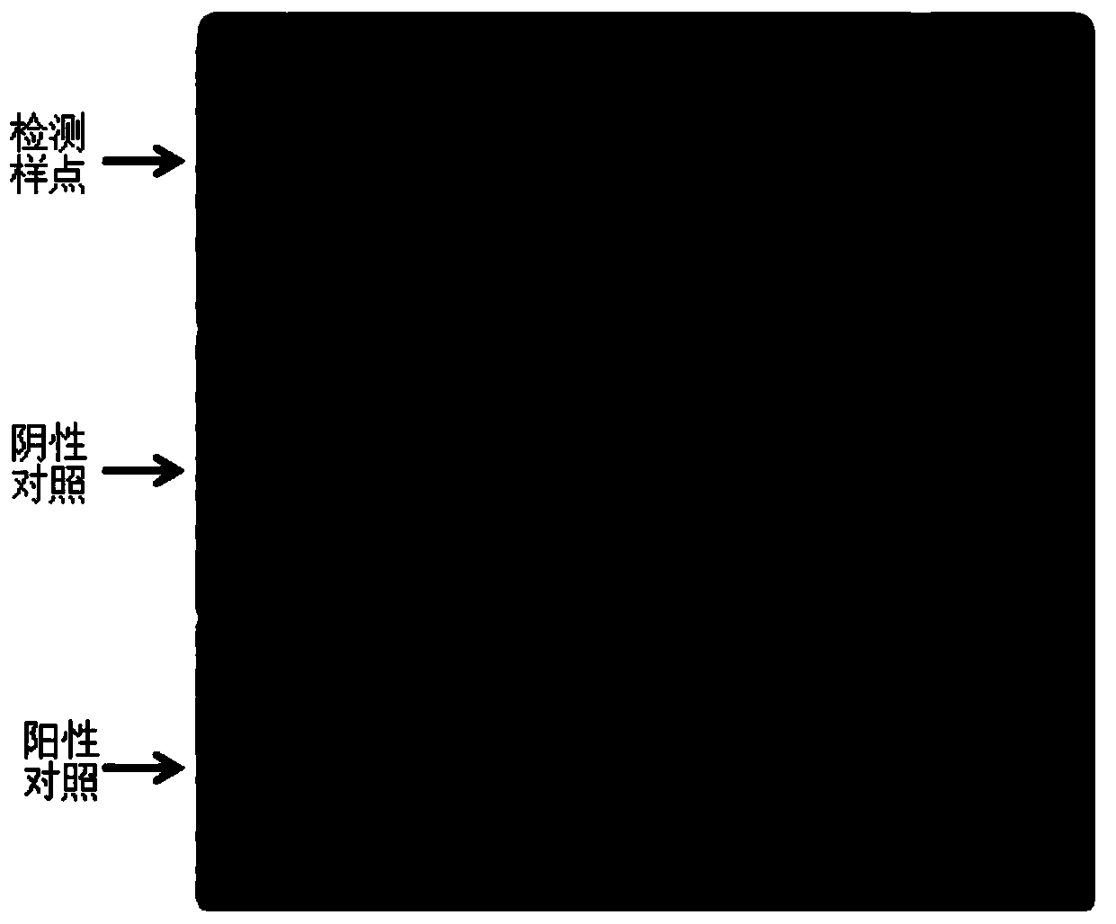 Protein chip sample point quality control and tracing method