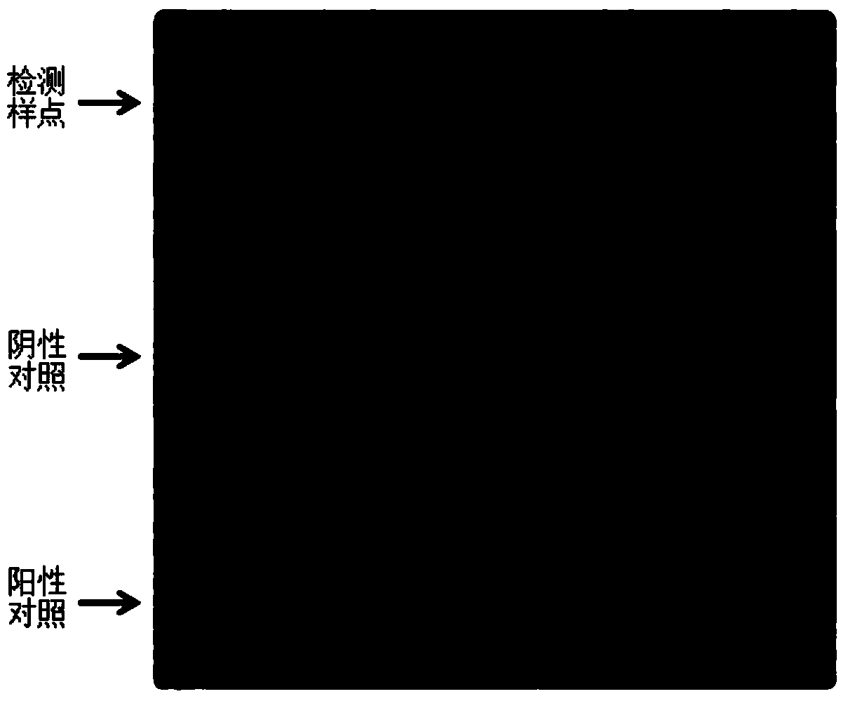 Protein chip sample point quality control and tracing method