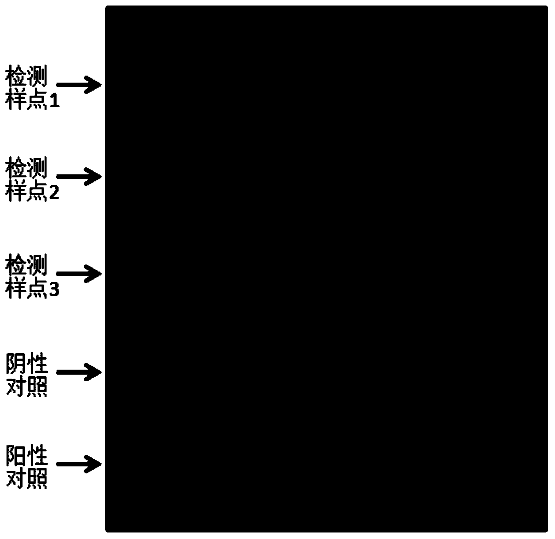 Protein chip sample point quality control and tracing method