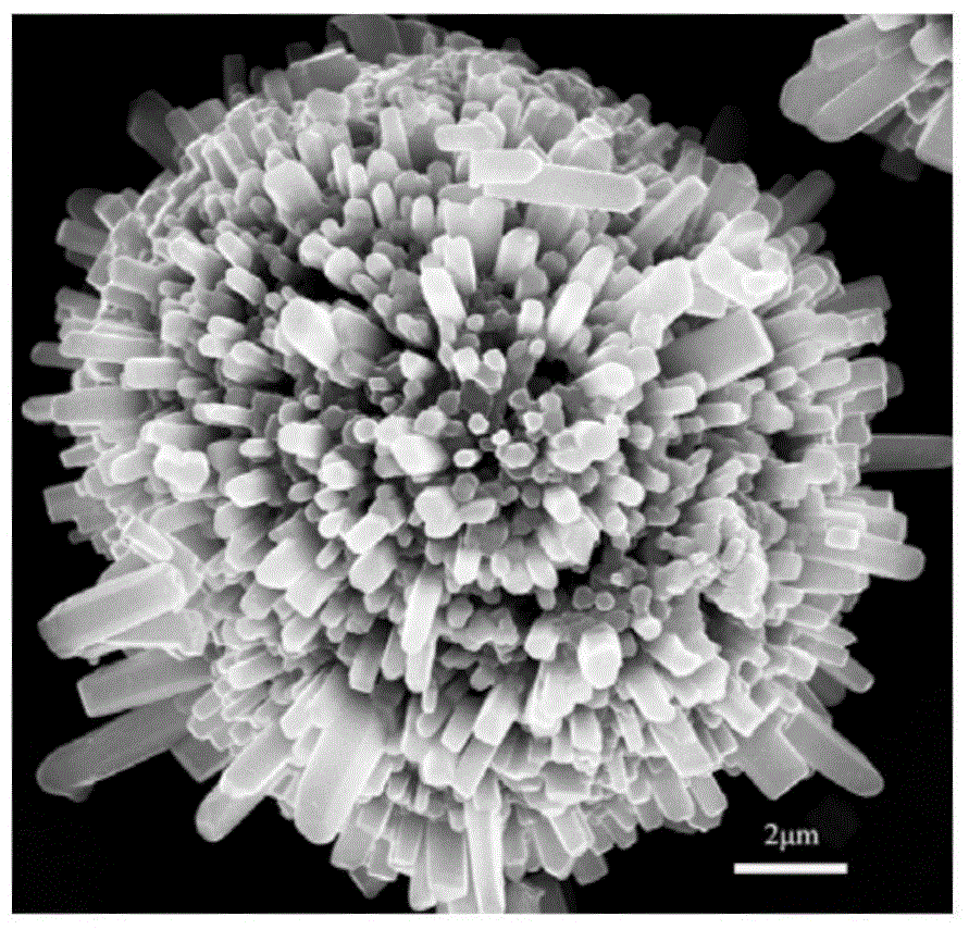 Urchin-like sodium-containing lithium-rich layered cathode material and preparation method thereof