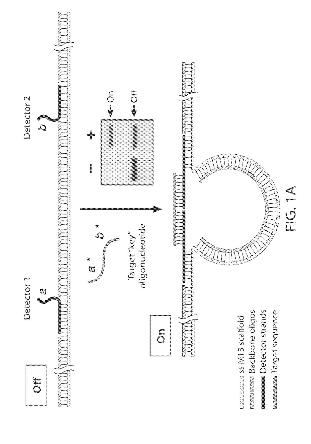 Compositions and methods for analyte detection using nanoswitches