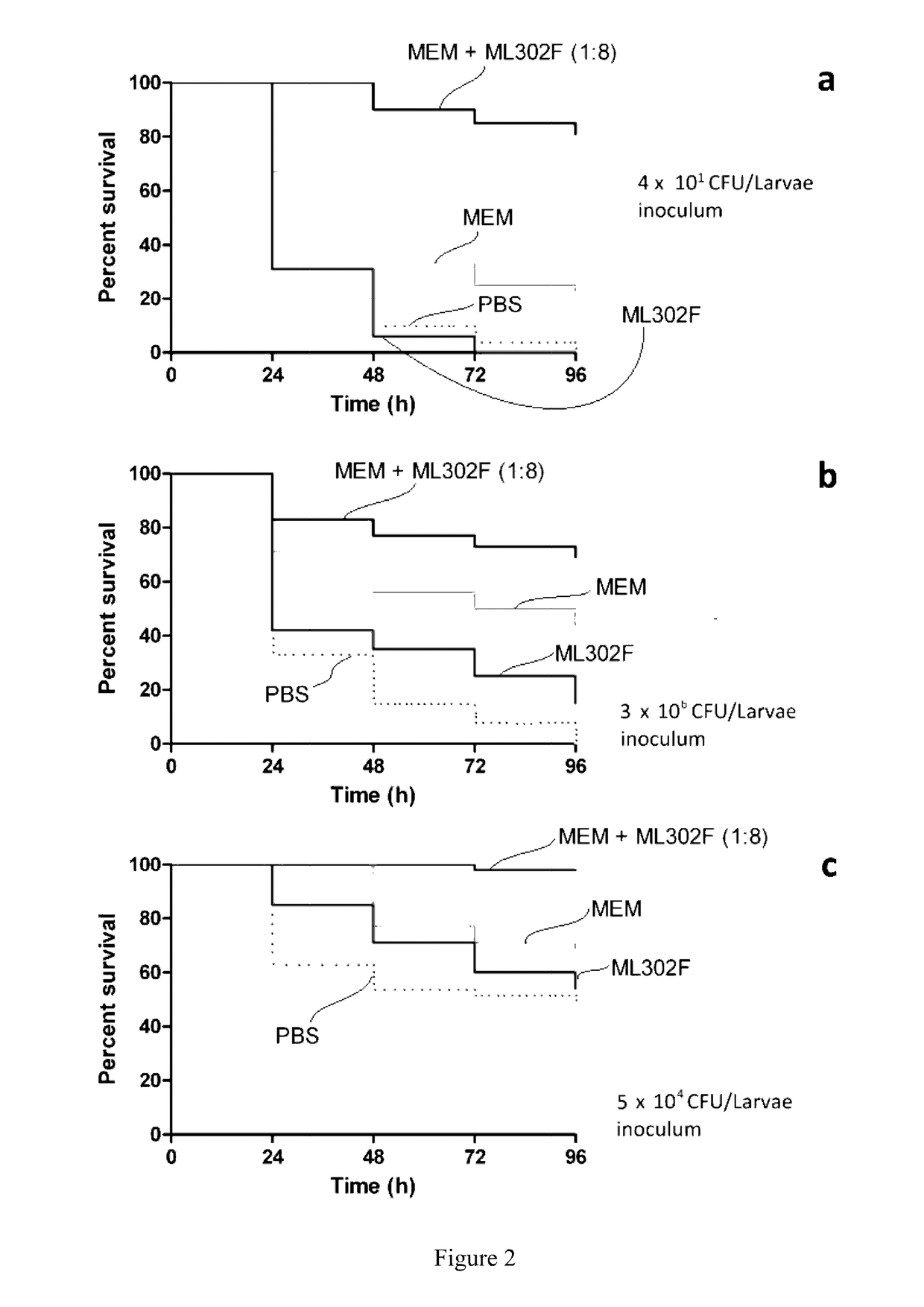 Beta Lactamase Inhibitors