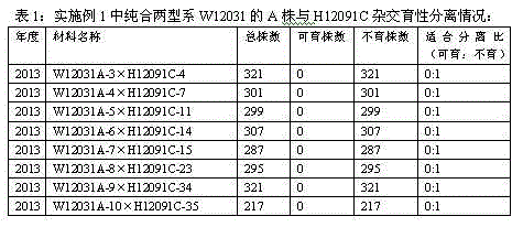 Method for improving brassica napus type temporary maintainer line of nuclear recessive epistatic interaction sterility in rapes