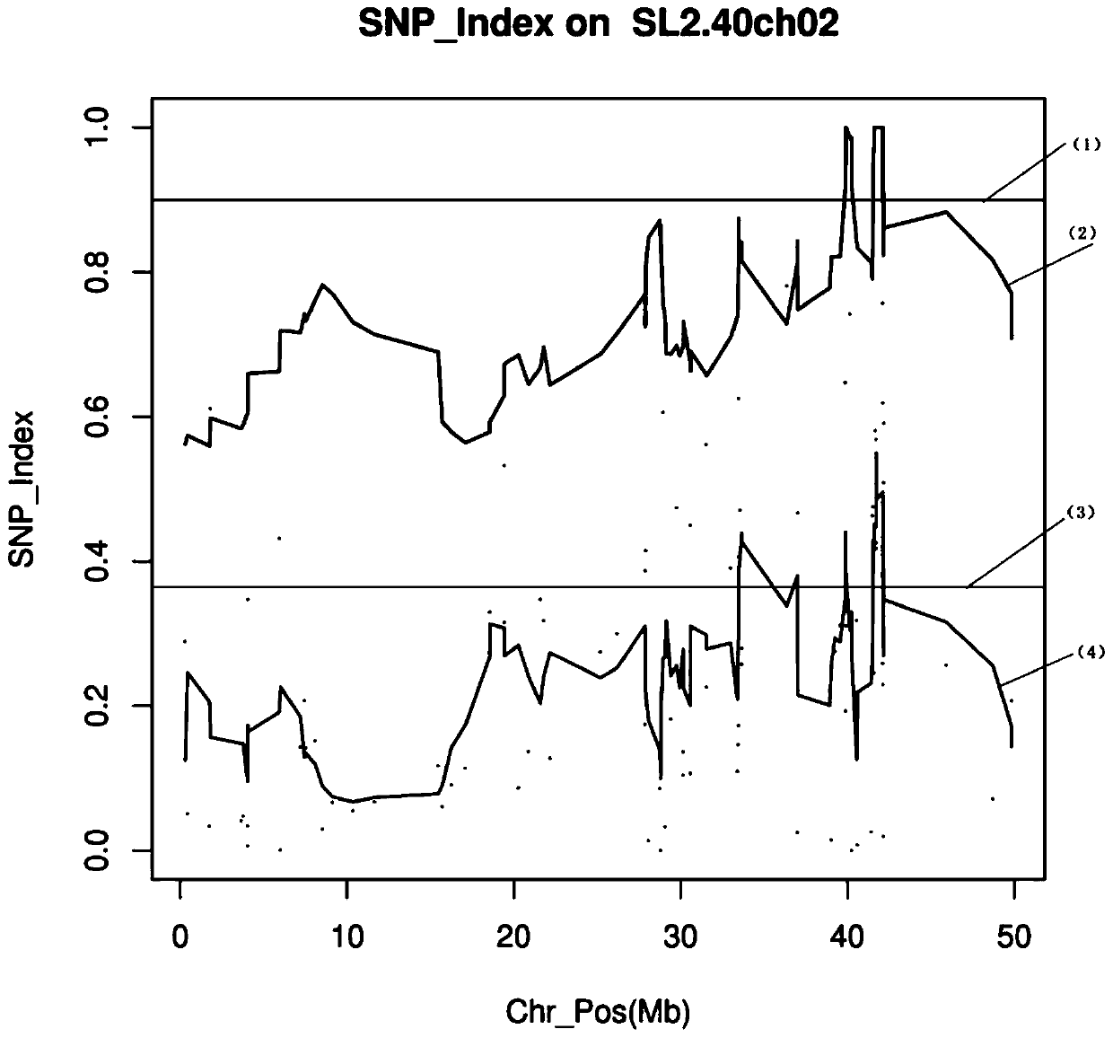 SNP molecular marker closely linked to tomato male sterility gene and its obtaining method and application